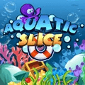 Bubble Slice Splash